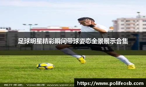 2025 的棒球以大谷翔平的荣誉与乐天桃猿的冠冕圆满落幕，2026 的经典赛风暴已在 12 月末蓄势待发。